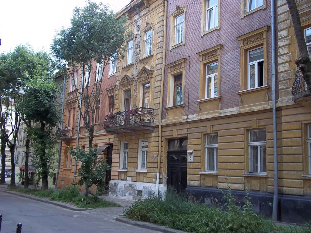 Near Citadel Apartment Liov Cameră foto